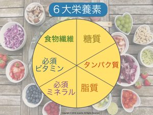 ６大栄養素の円
